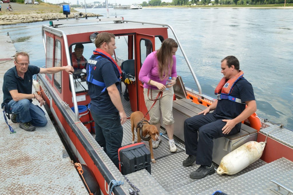 Ursula rettet Hund Koeln Rodenkirchen P07.JPG - MIRKO_WOLF